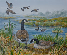 Morning on the Wetlands by Helen Howerton
