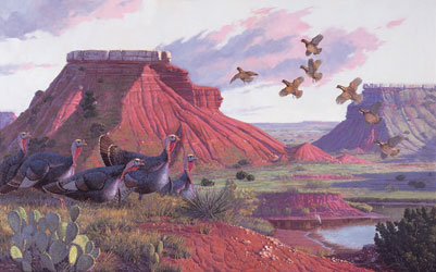 Game Birds at Glass Mountain by Harold T. Holden