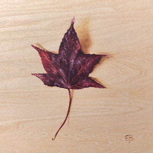 Maple Leaf by Erica Bonavida