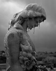 Frozen Tears by Jim Richey