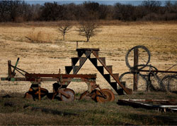 Farm Art by Gigi Renee' Webb