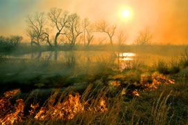 Fire Pond by Grant McClintock