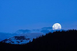 Good Morning Moonresize by Martha Burger