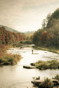 Fly Fishing in the Fall by Patricia Isbell 